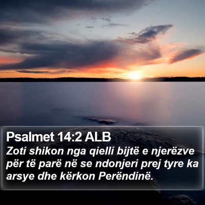 Psalmet 14:2 ALB Bible Verse Image