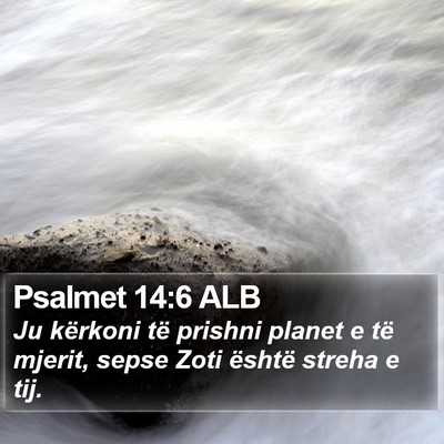 Psalmet 14:6 ALB Bible Verse Image