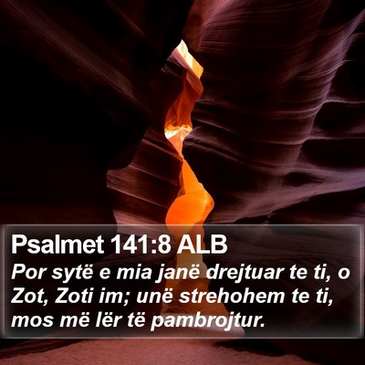 Psalmet 141:8 ALB Bible Verse Image