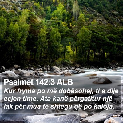 Psalmet 142:3 ALB Bible Verse Image