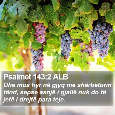 Psalmet 143:2 ALB Bible Verse Image