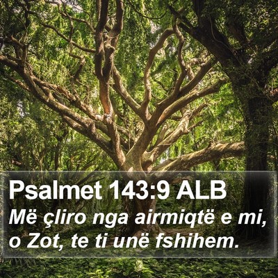 Psalmet 143:9 ALB Bible Verse Image