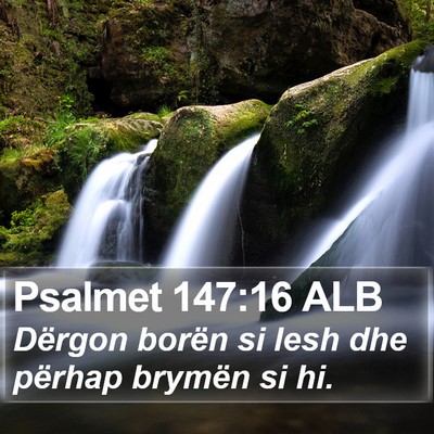 Psalmet 147:16 ALB Bible Verse Image