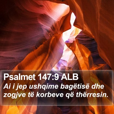 Psalmet 147:9 ALB Bible Verse Image