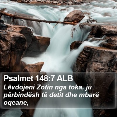 Psalmet 148:7 ALB Bible Verse Image