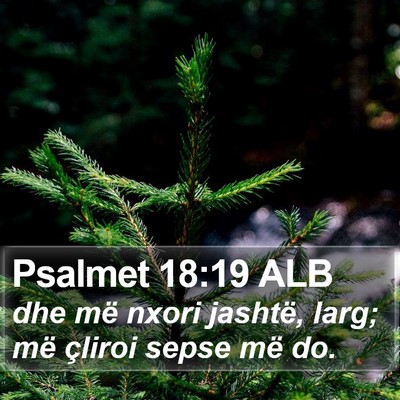 Psalmet 18:19 ALB Bible Verse Image