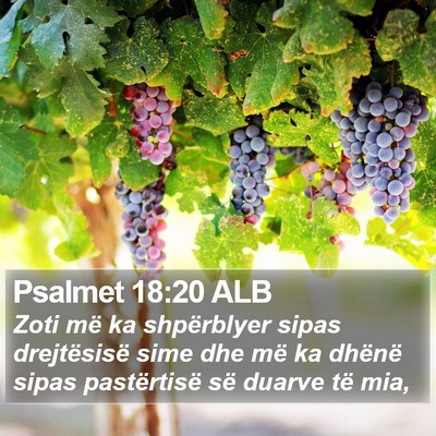 Psalmet 18:20 ALB Bible Verse Image