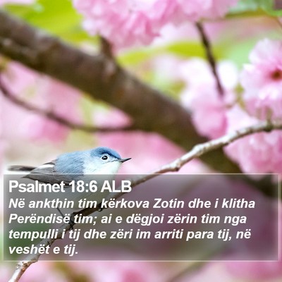 Psalmet 18:6 ALB Bible Verse Image