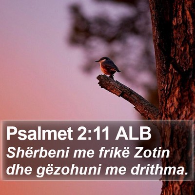 Psalmet 2:11 ALB Bible Verse Image