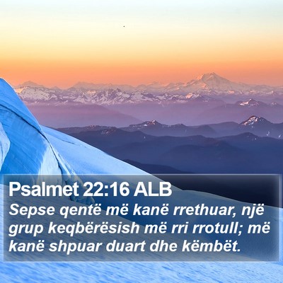 Psalmet 22:16 ALB Bible Verse Image