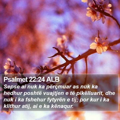 Psalmet 22:24 ALB Bible Verse Image