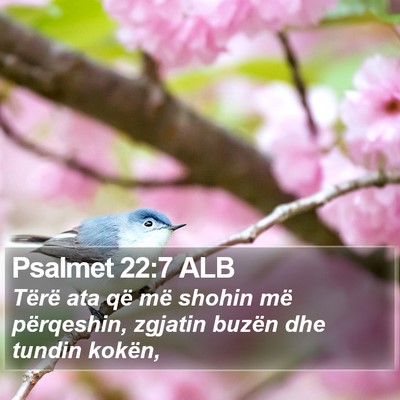 Psalmet 22:7 ALB Bible Verse Image