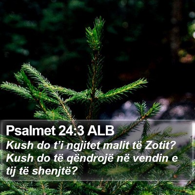 Psalmet 24:3 ALB Bible Verse Image