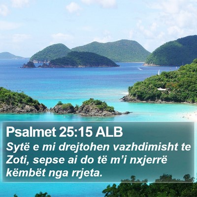 Psalmet 25:15 ALB Bible Verse Image