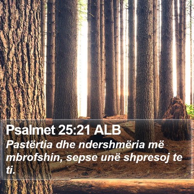 Psalmet 25:21 ALB Bible Verse Image