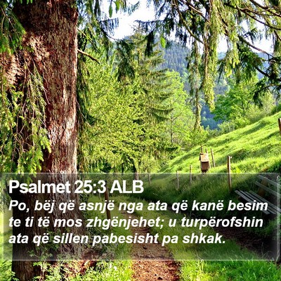 Psalmet 25:3 ALB Bible Verse Image