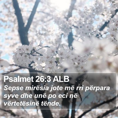 Psalmet 26:3 ALB Bible Verse Image