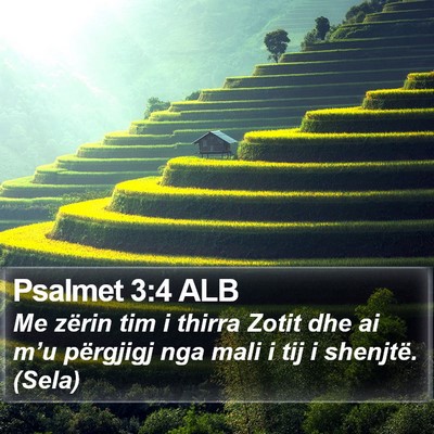 Psalmet 3:4 ALB Bible Verse Image