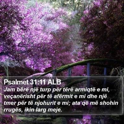 Psalmet 31:11 ALB Bible Verse Image