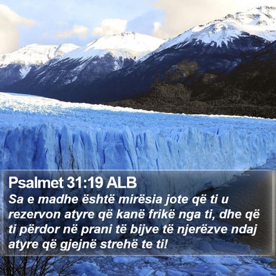Psalmet 31:19 ALB Bible Verse Image