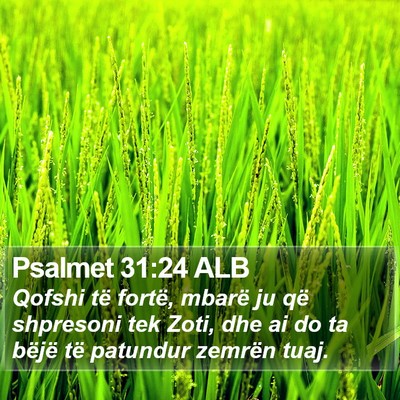 Psalmet 31:24 ALB Bible Verse Image