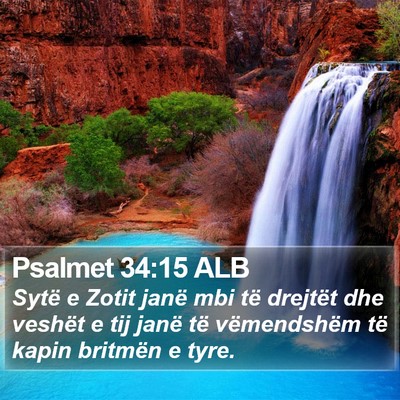 Psalmet 34:15 ALB Bible Verse Image