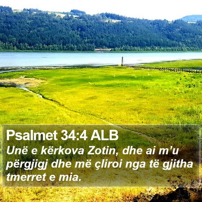 Psalmet 34:4 ALB Bible Verse Image