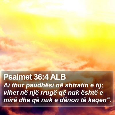 Psalmet 36:4 ALB Bible Verse Image