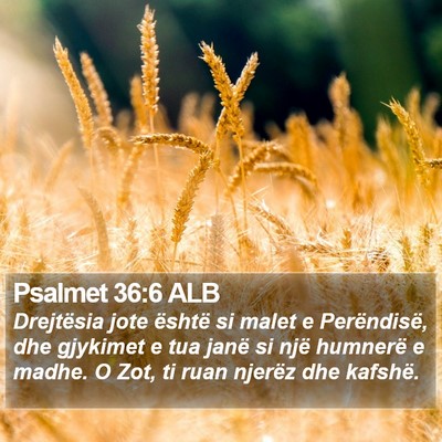 Psalmet 36:6 ALB Bible Verse Image