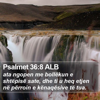 Psalmet 36:8 ALB Bible Verse Image