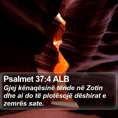 Psalmet 37:4 ALB Bible Verse Image