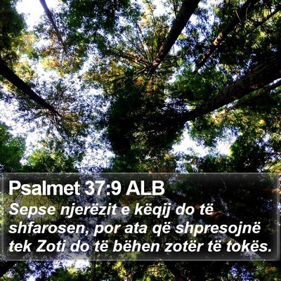 Psalmet 37:9 ALB Bible Verse Image