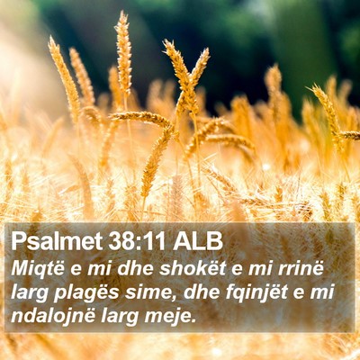 Psalmet 38:11 ALB Bible Verse Image