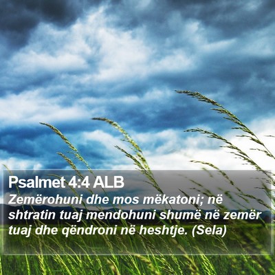 Psalmet 4:4 ALB Bible Verse Image