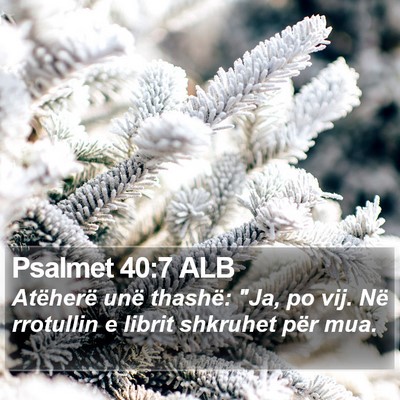 Psalmet 40:7 ALB Bible Verse Image