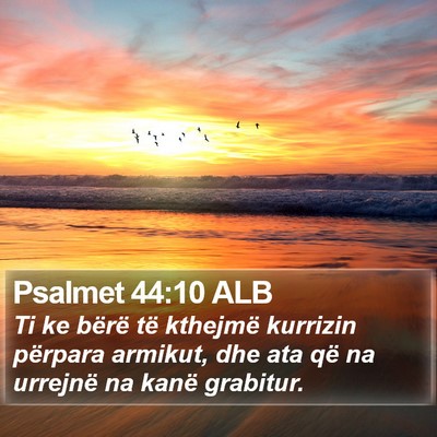 Psalmet 44:10 ALB Bible Verse Image