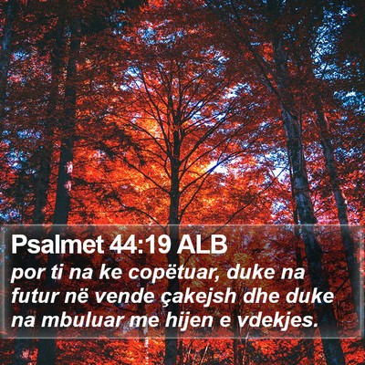 Psalmet 44:19 ALB Bible Verse Image