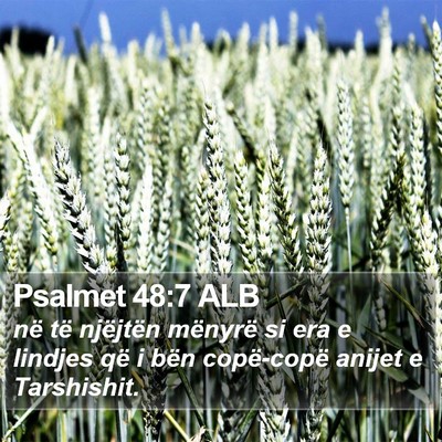 Psalmet 48:7 ALB Bible Verse Image