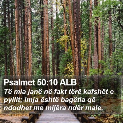 Psalmet 50:10 ALB Bible Verse Image