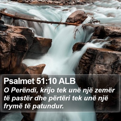 Psalmet 51:10 ALB Bible Verse Image