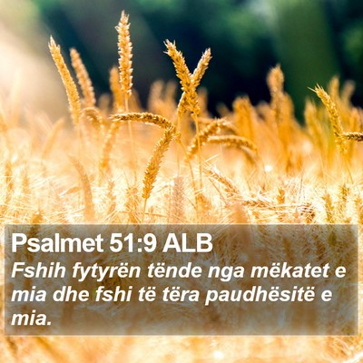 Psalmet 51:9 ALB Bible Verse Image