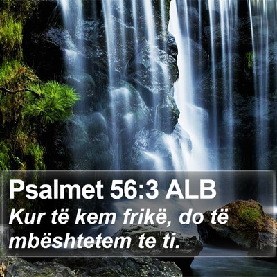 Psalmet 56:3 ALB Bible Verse Image
