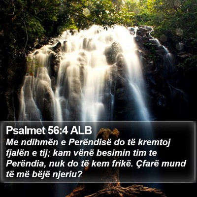 Psalmet 56:4 ALB Bible Verse Image