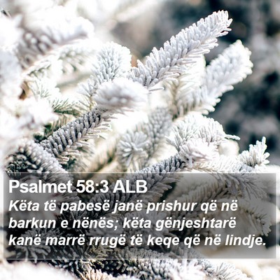 Psalmet 58:3 ALB Bible Verse Image