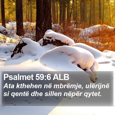 Psalmet 59:6 ALB Bible Verse Image