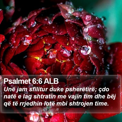 Psalmet 6:6 ALB Bible Verse Image
