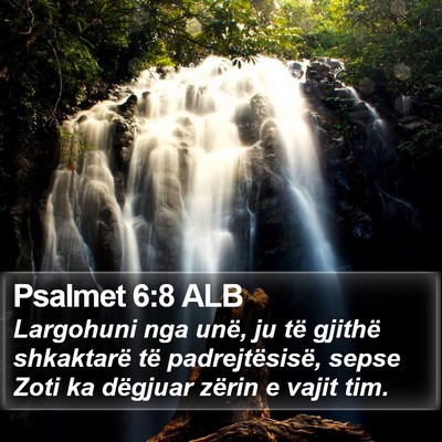 Psalmet 6:8 ALB Bible Verse Image