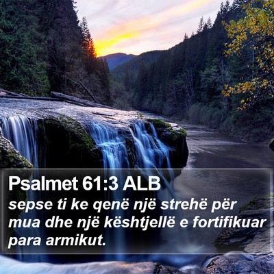 Psalmet 61:3 ALB Bible Verse Image