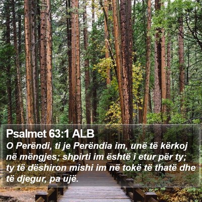 Psalmet 63:1 ALB Bible Verse Image