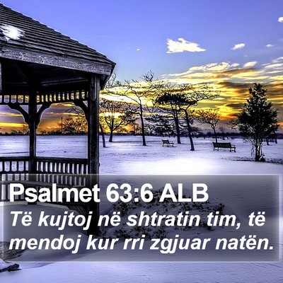 Psalmet 63:6 ALB Bible Verse Image